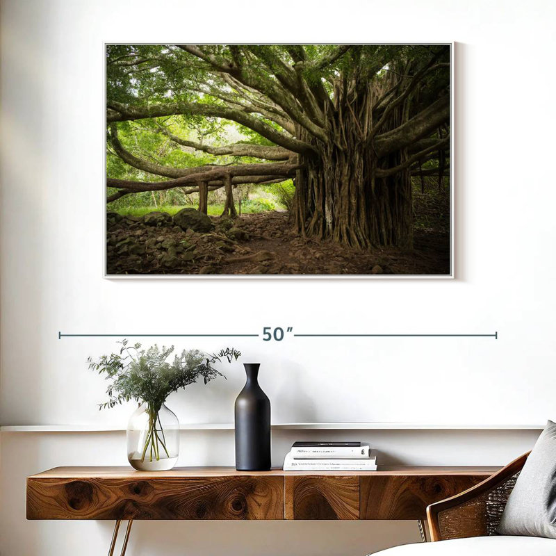 Banyan Tree, 40 po x 27 po, Cadre flottant blanc