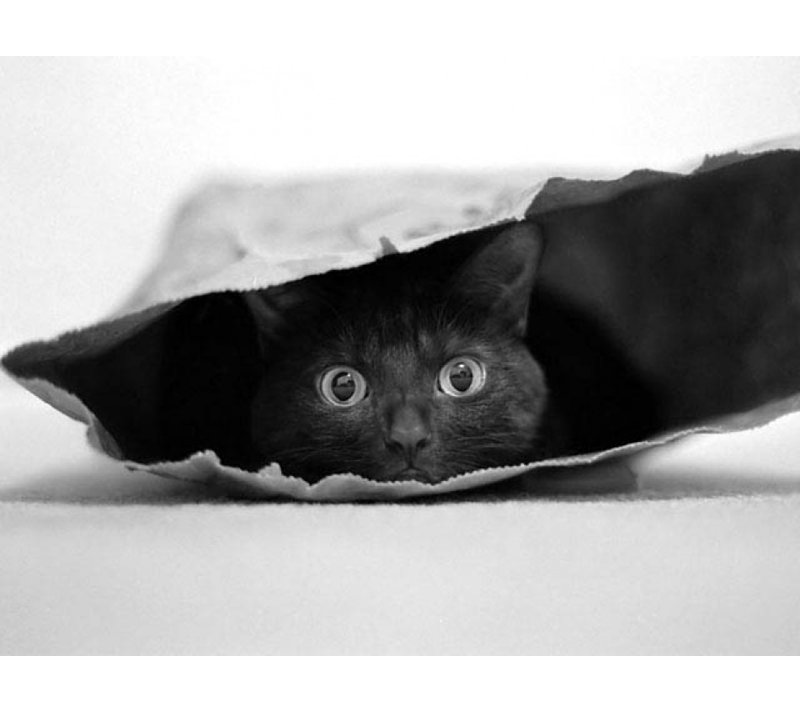 Wrapped Canvas Print, 60.96 cm H x 91.44 cm W