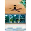 Winche Ceiling Fan-167642460