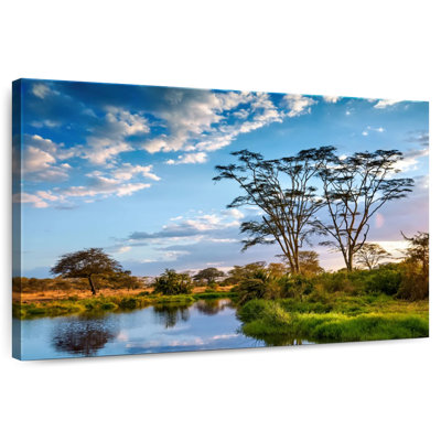 Alvord African Landscape In Tanzania