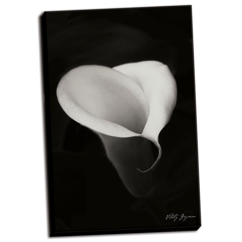 " Calla Lily I " by Vitaly Geyman