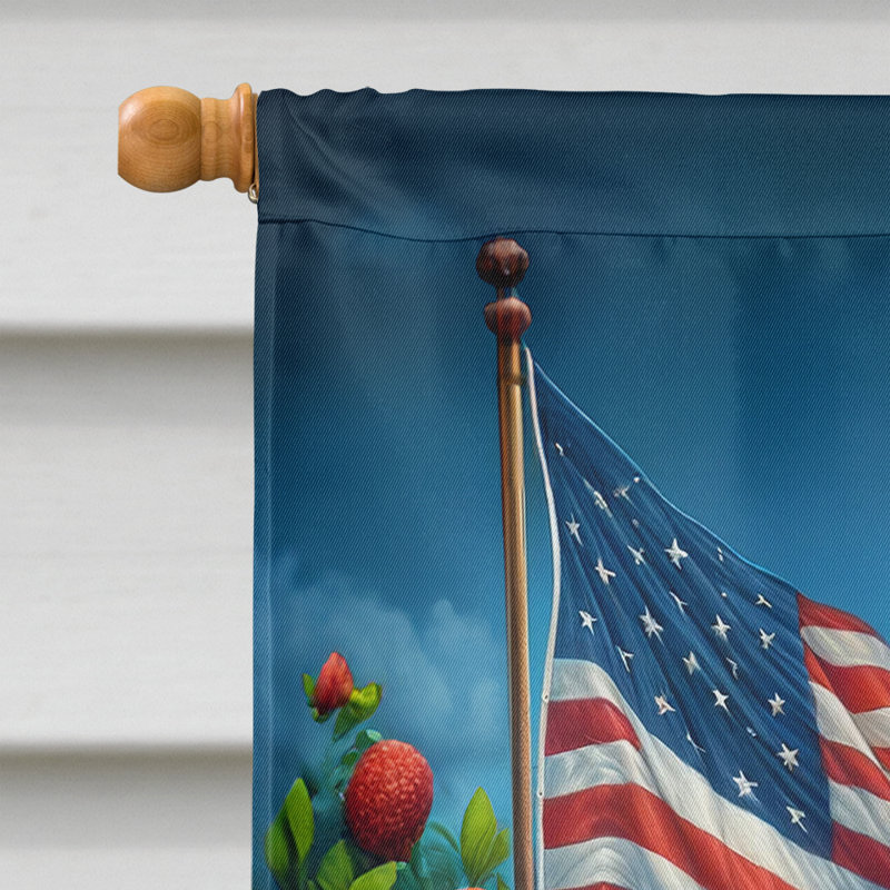 Drapeau «All American House», Bleu multicolore des Grandes Pyrénées