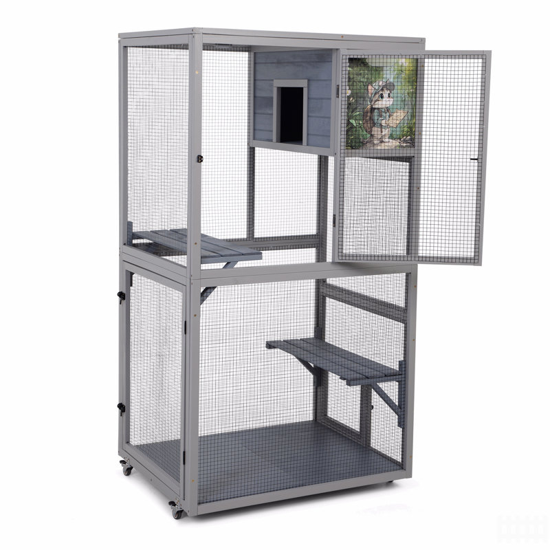 Enceinte d'extérieur pour chat Catio