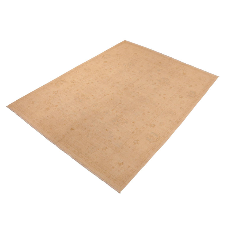 Tapis oriental brun clair en laine noué à la main 8 pi x 10 pi Baccio