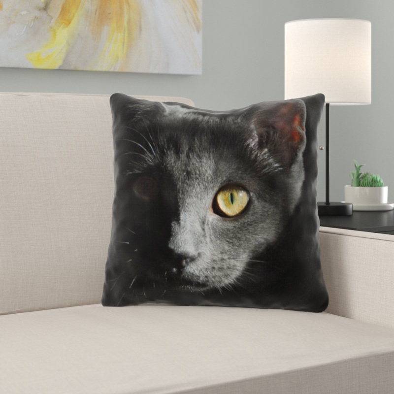 Coussin pour chat