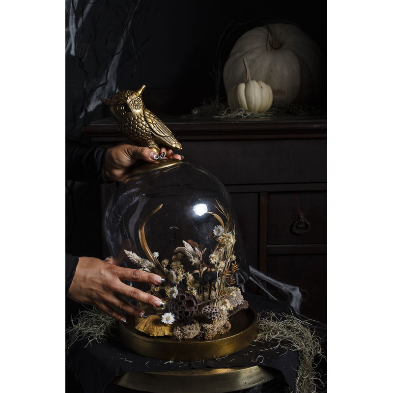 Davarion Strix Cloche