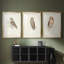 Petite chouette - impression encadrée sur mesure de qualité supérieure - 3 pièces-451118260-451118267