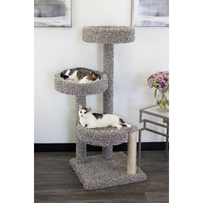 Arbre à chat en bois massif 47 po New Cat Condos