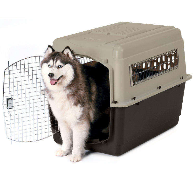 Plastic Pet Carrier with 1 Door, 30" H x 27" W x 40" D
