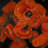 Poppy bouquet - 32"x32" art on canvas