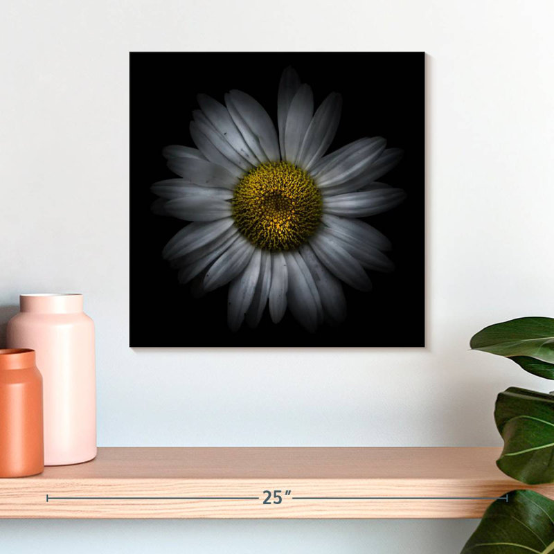 Fleurs Harnek Backyard, H 16 po x l 16 po