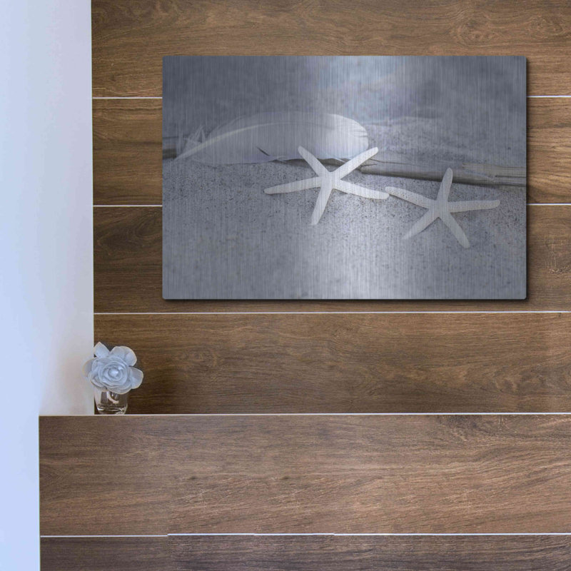  «Starfish Feather Beach Still» par Andrea Haase, mur en métal, 16 po x 12 po