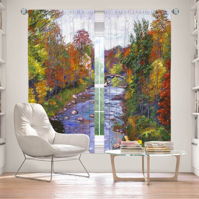 Room Darkening Curtain Pair