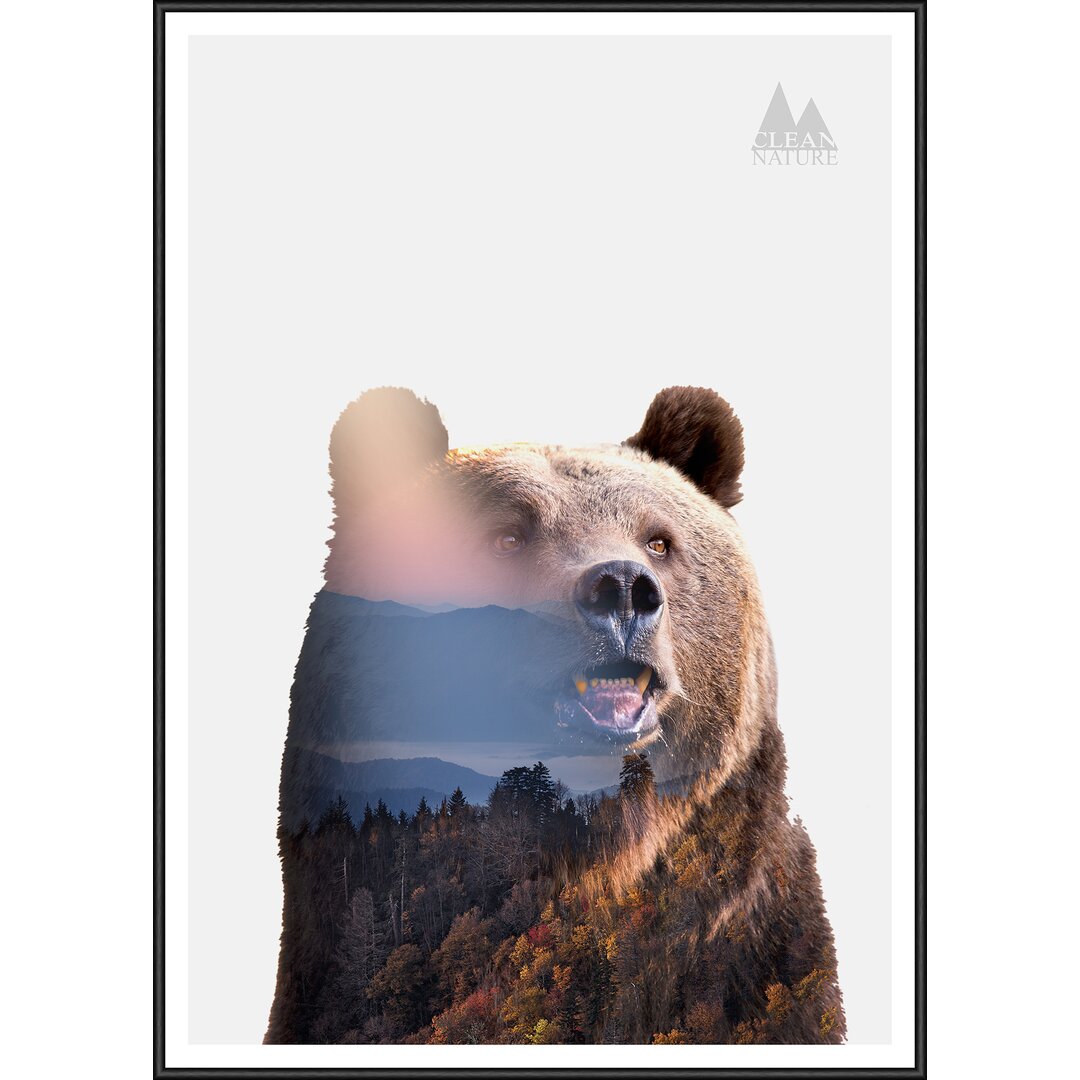 Gerahmtes Poster Bear, Grafikdruck