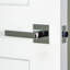 Viaggio Quadrato Rosette Privacy (Bed & Bath) with Lusso Lever-868670193-868670190-868670189