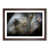 Walnut Framed selected