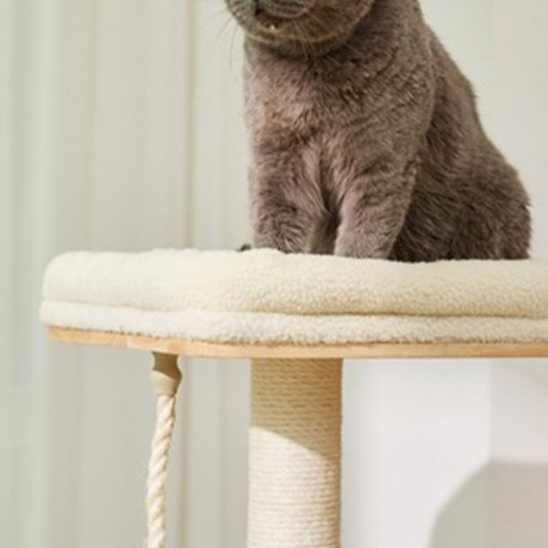 Arbre à chat Minimalist Oak
