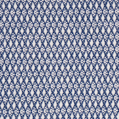 Zoila Fabric