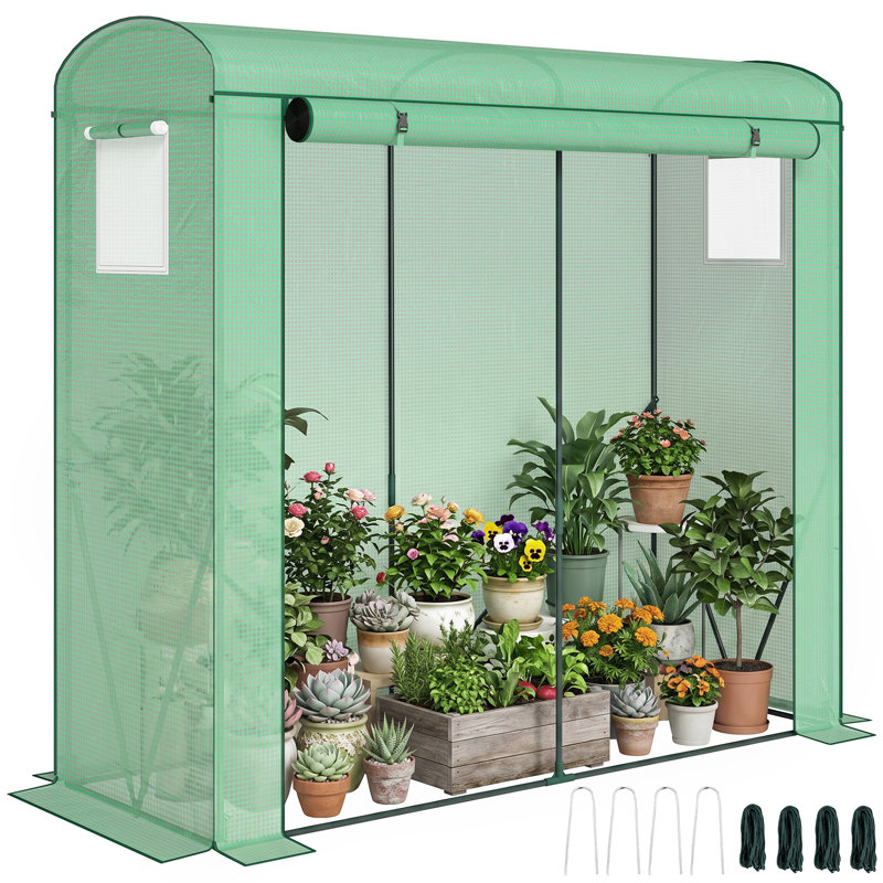 Mini Greenhouse, Portable Greenhouse with Roll-Up Door and 2 Mesh Windows, Small Green House with PE Cover for Garden Patio Lawn, 78.7" x 29.5" x 74", Green
