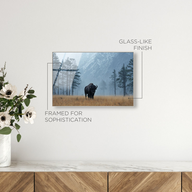 Mountain Bison II Print by Oliver Gal, 11" H x 16" W, Silver Floater Frame