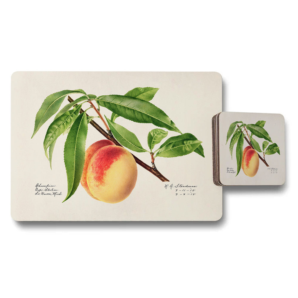 Peach Botanical Placemats and Coaster Set Vintage Illustration