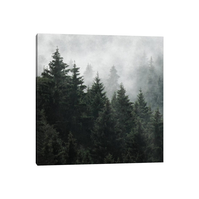 Waiting For by Tordis Kayma - Wrapped Canvas Print, 30.48 cm H x 30.48 cm W
