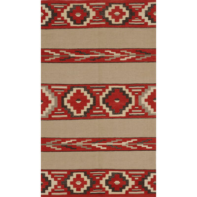 Southwestern Area Rug in Brown/Red