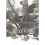 Julie Neill 8 - Light Chandelier-1547235246