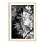 Japanese Maple - Picture Frame Photograph-1512498055-1512120903