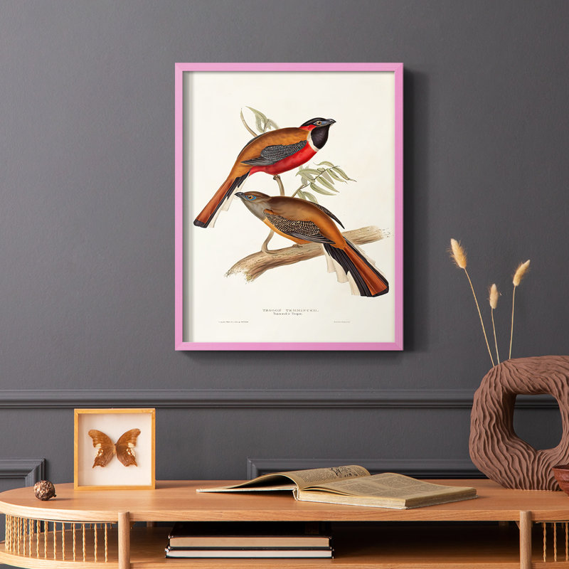 Elegant Trogons IV Framed Print - Solid Wood, Pink Single Picture Framed, 10" H x 8" W