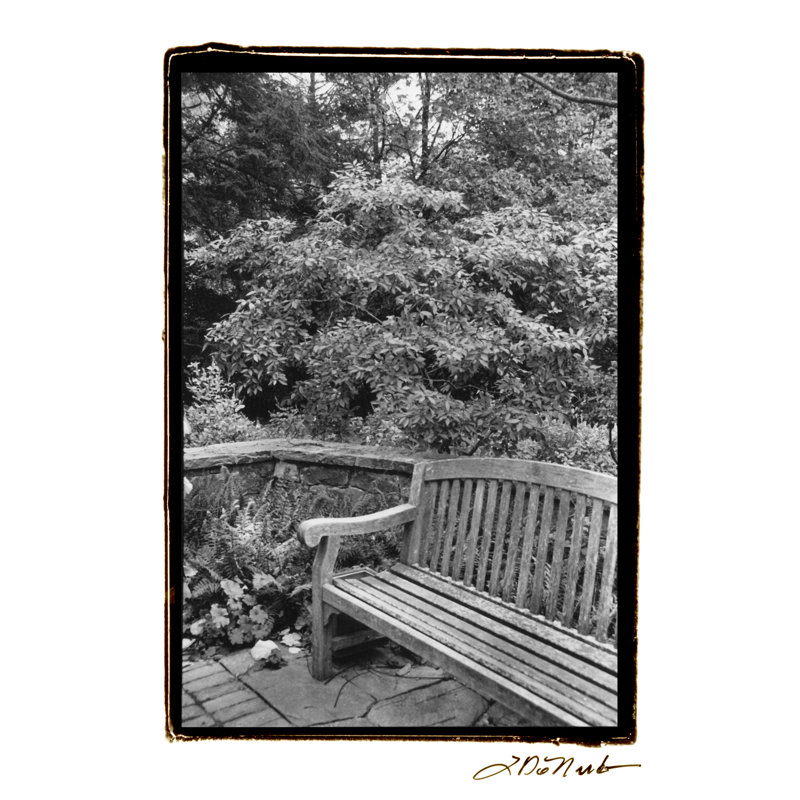 Garden Respite I by Laura DeNardo - Wrapped Canvas Print, 46cm H x 30cm W