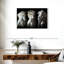 Trois chevaux blancs Brampt-106322023