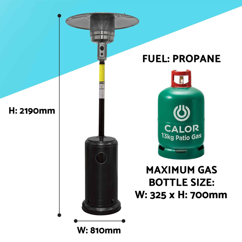 Antjedine Stainless Steel Propane Standing Patio Heater, Black