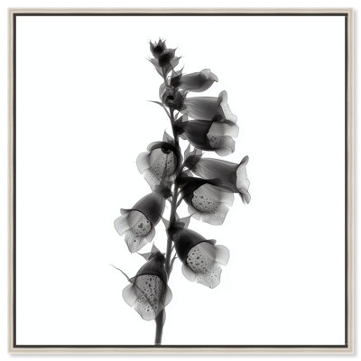 Ossified Petals II Print by Oliver Gal