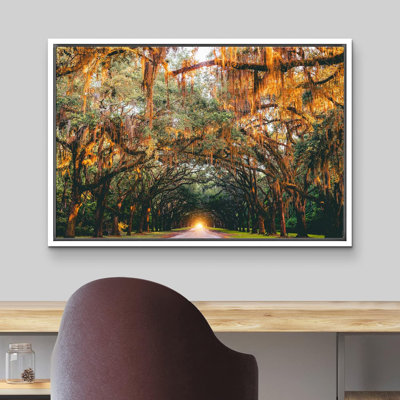 Autumn Fall " Autumn Fall Orange Hanging Tree Canopy "