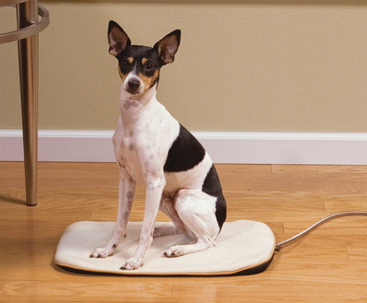 Heated Pet Pad, Large