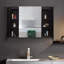 Pharmacie avec miroir 6 tablettes Camillia
