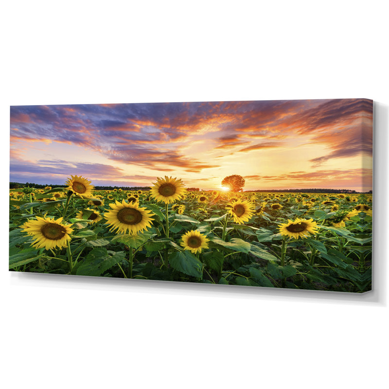 Champ de tournesols en fleurs - Photographie sur toile, H 8 po x l 12 po x P 1 po, Toile tendue