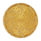 Crystal Round Coaster