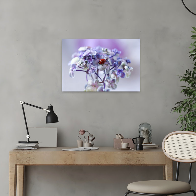 Ladybug On Purple Bloom Colorful Delicate Peaceful Ladybug Flower Nature Wall Art Print by Ellen van Deelen - 1 Piece Wrapped Canvas Wall Art