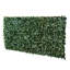 Privacy Fencing Hedge