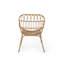 Chaise Harlem