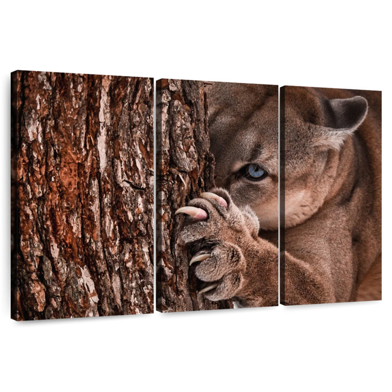 Brampt Peaking Young Cougar, 24" H x 38" W