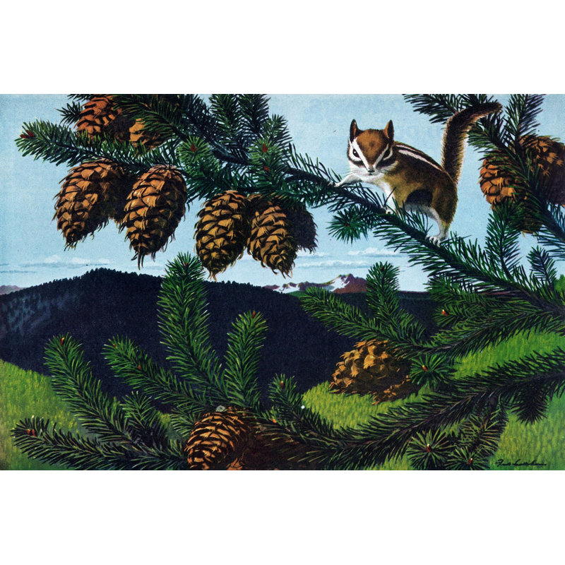 Ground Squirrel by Marmont Hill - Single Picture Frame Painting on Canvas, 76cm H x 114cm W