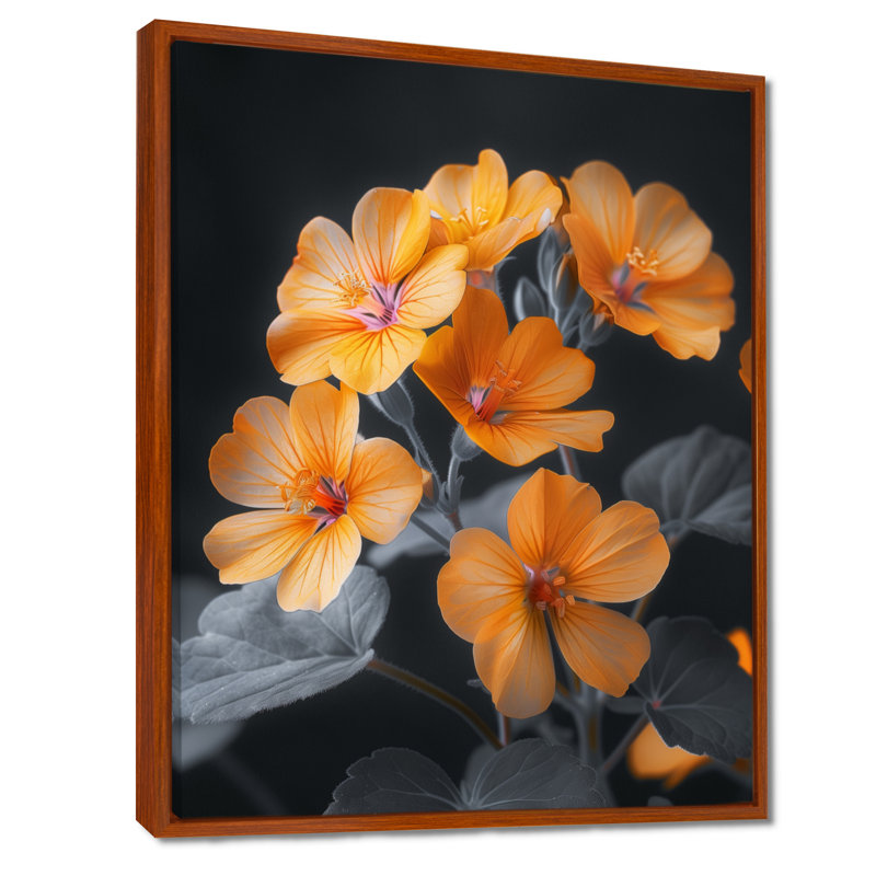Salon d'art mural Gerardi - Geraniums, Cadre flottant brun, bois massif, H 16 po x l 32 po