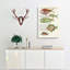 East Indies Fish Illustrations II by Louis Renard - Wrapped Canvas-55372943