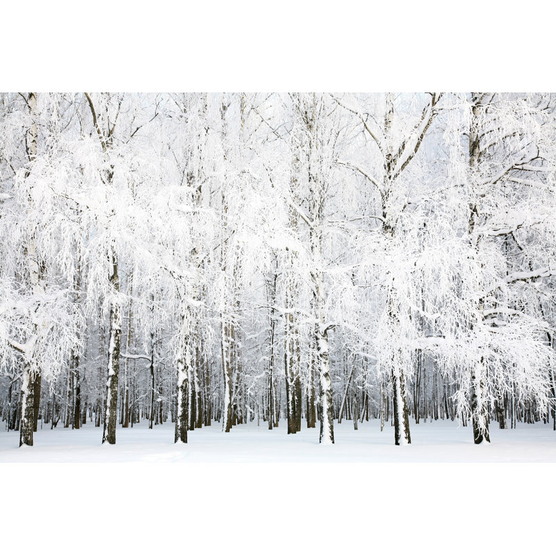 Desousa Russian Winter - Wrapped Canvas Print, 30cm H x 46cm W x 3.8cm D