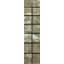 2" x 7.5" Authentic SeaShell Listello/Border Tile Mosaic in Abalone Pearl