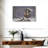 Peregrine Falcon-107673289
