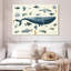 Animaux de mer-107673851